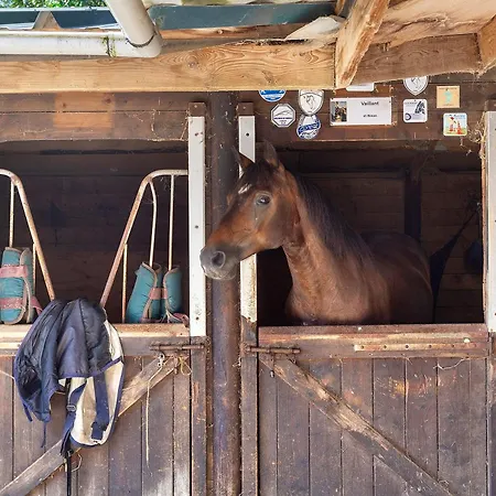 Le Petit Haras De *